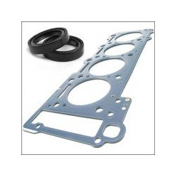 Category image for Engine Gaskets & Seals