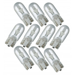 Category image for Bulbs