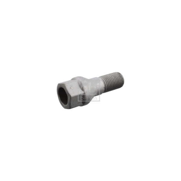 Wheel Bolt/Nut image