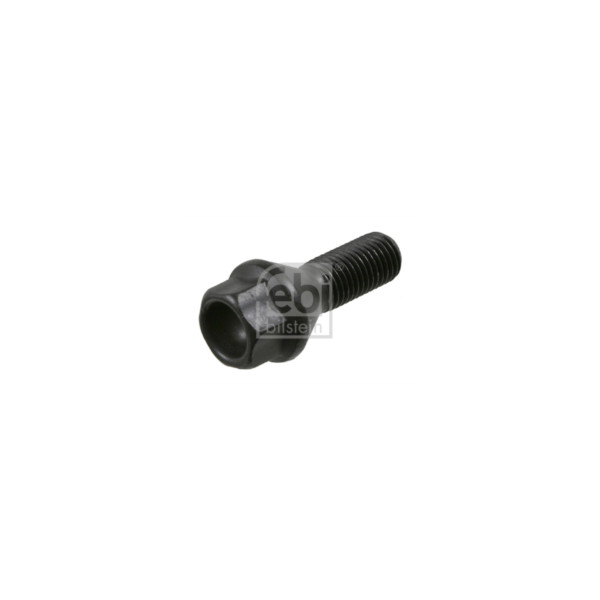 Wheel Bolt/Nut image