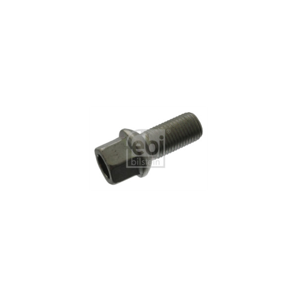 Wheel Bolt/Nut image