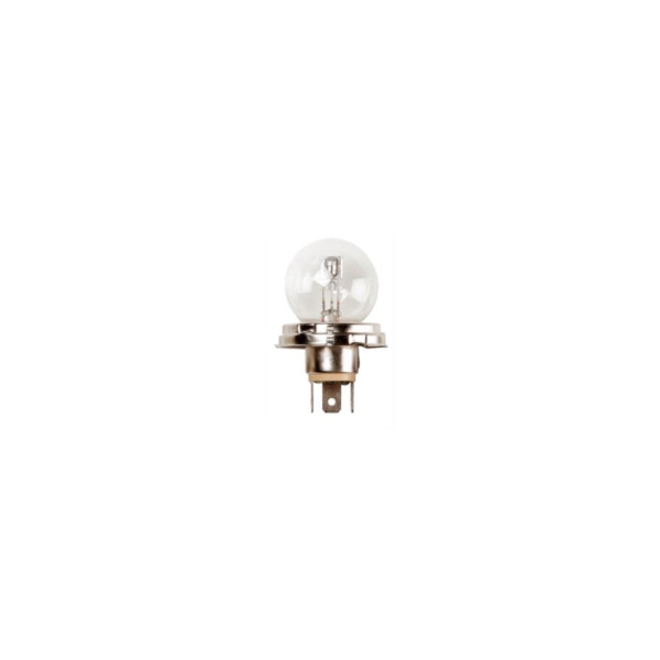 Head Light image