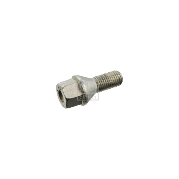 Wheel Bolt/Nut image