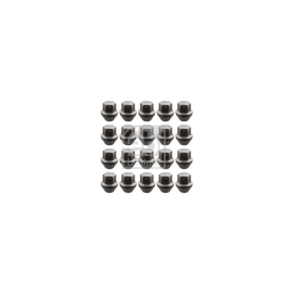 Wheel Bolt/Nut image