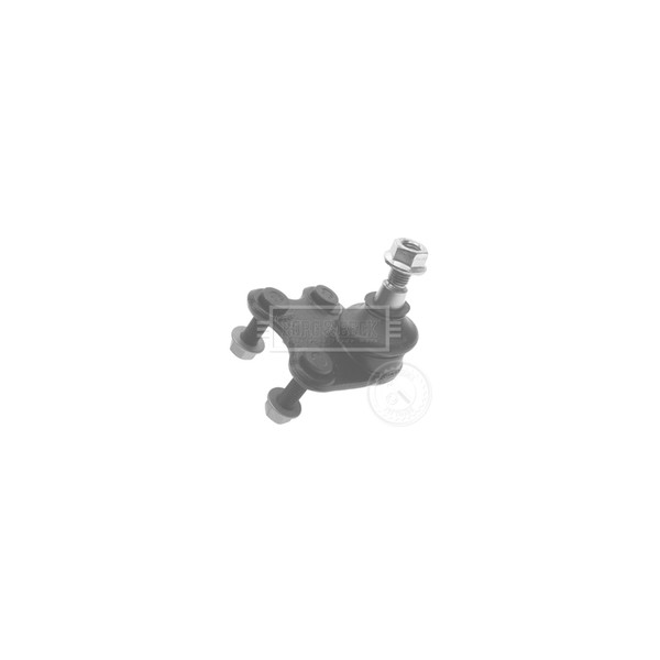 Ball Joint image